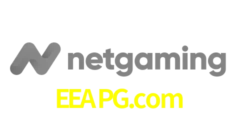 NetGaming